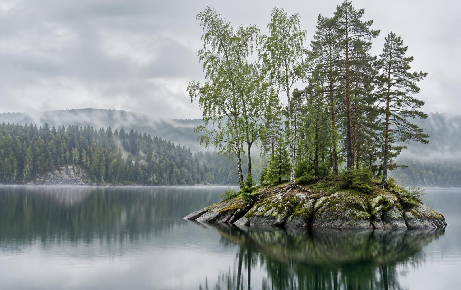 A small forest island in a still lake, an interconnected natural ecosystem